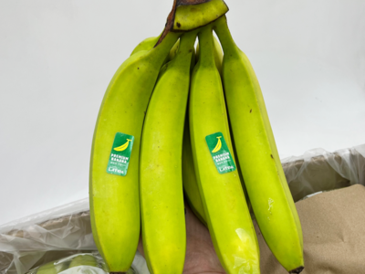 더노랑 콜롬비아산 라티다 바나나 2.6kg 내외 2송이(1송이당1.3kg내외)